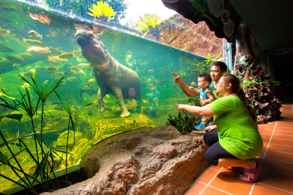 Khao kheow zoo. Тайланд као Кео зоопарк. Зоопарк Кхао Кхео Паттайя. Зоопарк в Тайланде Паттайя. Контактный зоопарк Тайланд.